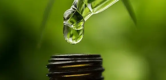 Oils & Pastes collection - Premium CBD oils and paste extracts for daily wellness